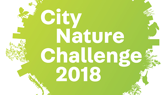 Logotip del City Nature Challenge 2018. Autora: Lila Higgins