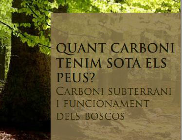 Jornada sobre el carboni subterrani i el funcionament dels boscos