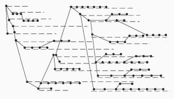 Representació gràfica teòrica de les trajectòries evolutives, per Ramon Margalef. Font: Ramon Margalef. "Teoría de los sistemas ecológicos". Publicacions de la Universitat de Barcelona, 1984.