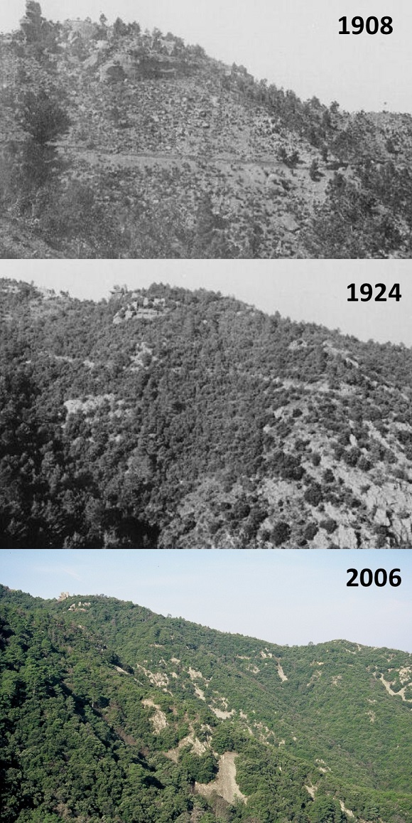 Fig 4_ Transformacio historica bosc Prades