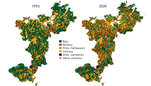Comparació de les cobertes del sòl de l'incendi del Bages-Berguedà de 1994
