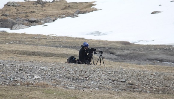 Mariona Ferrandiz durant l'expedició per estudiar les marmotes alpines i els seus dialectes. Està observant el seu comportament a través d'un telescopi terrestre. Crèdit: CREAF.