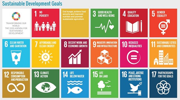 Els 17 Objectius de Desenvolupament Sostenible proposats per l'ONU per a 2030. Font: Organització de les Nacions Unides