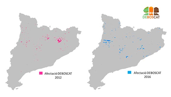 Afectacions detectades pel programa DeBosCat durant els anys 2012 i 2016