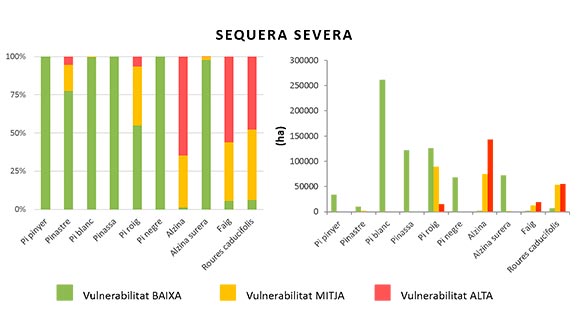 Gráfico de la vulnerabilidad de las especies forestales en porcentaje en el escenario de sequía severa