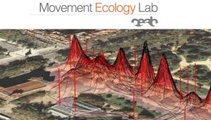 Movement Ecology Lab