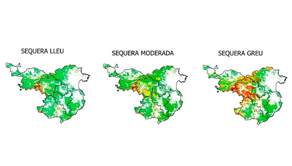 Mapa en baixa resolució que mostra el grau de vulnerabilitat dels boscos en els tres escenaris de sequera a escala de Girona
