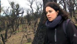 Sandra Saura, investigadora CREAF a "Després de l'incendi al bosc". El medi Ambient de TV3