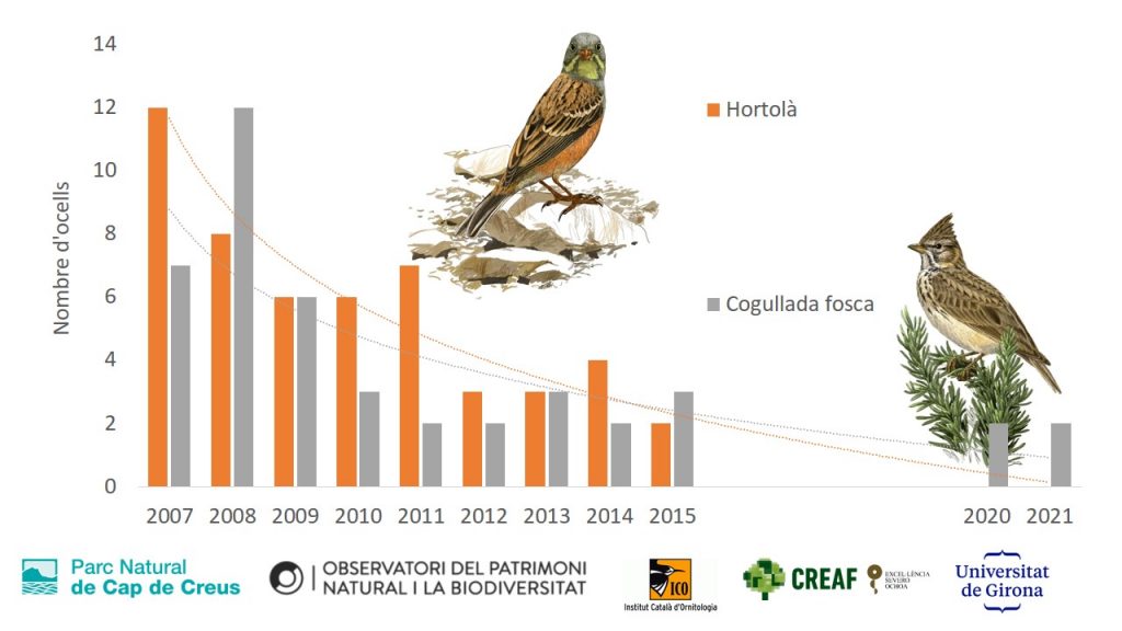 Pèrdua poblacional de dues espècies d’ocells d’espais oberts a Sant Pere de Rodes (Parc Natural del Cap de Creus), amb les dades disponibles dels anys previs a l’incendi de juliol de 2021. Font: Seguiment Ocells Comuns a Catalunya. 