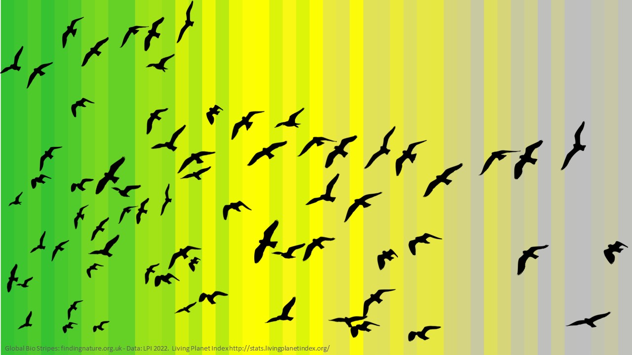 Global Bio Stripes with birds. Data: Living Planet Index (http://stats.livingplanetindex.org/).