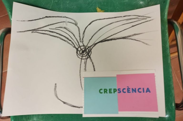 “Crepscencia” (“crepuscle” + “inflorescència”): qualitat d'allò que neix i mor en un mateix lloc, és a dir, en el “punt de crepscencia”. Font: Diego de la Vega y Florencia Florido.