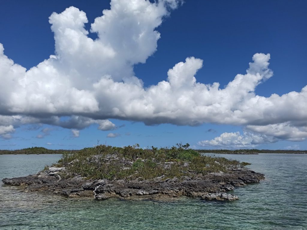 Una de les petites illes del Carib on s'ha estudiat als llangardaixos anolis. Foto: Oriol Lapiedra.