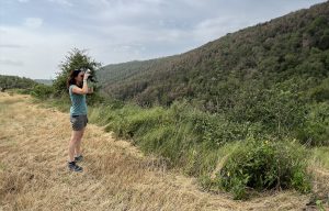 Mireia Banqué, coordinadora d'AlertaForestal observant un bosc afectat per la sequera durant l'estiu de 2023. Imatge: AlertaForestal